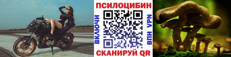 мега tor  Опочка  Галлюциногенные грибы мицелий 